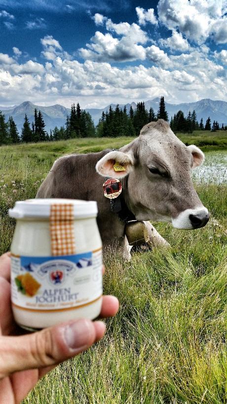 yogurt vipiteno yogurt vipiteno