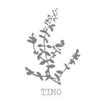 Wolfrest Gin – il Vero Gin delle Langhe! timo