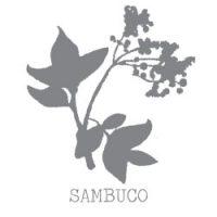 Wolfrest Gin – il Vero Gin delle Langhe! sambuco