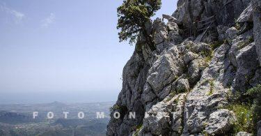 Trekking in Sardegna sul Monte Albo Trekking in Sardegna sul Monte Albo