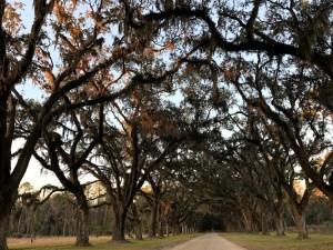 Charleston & Savannah Charleston & Savannah
