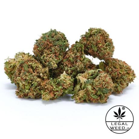 Marijuana legal weed