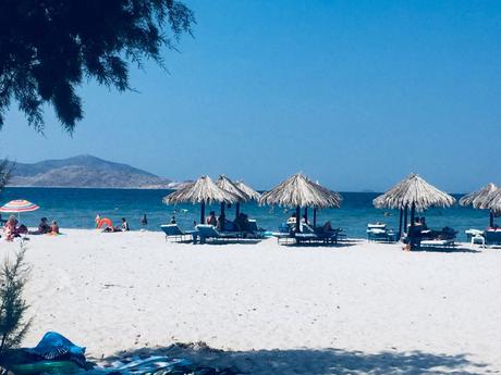 A Kos, il giardino dell’Egeo A Kos, il giardino dell’Egeo