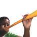 Vuvuzela, voce dell'Africa
