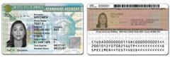 Sicurezza dei documenti: l’Italia snobba la tecnologia adottata per la Green Card americana