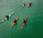 kayak school with