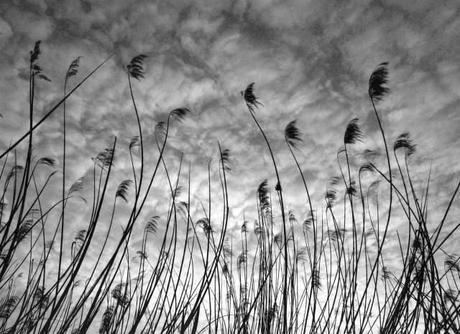 L’ANTICAMERA DELL’IMPOSSIBILE di Costantino Simonelli