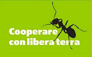 I giovani con Libera Terra tornano a lavorare per il Paesaggio rurale