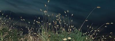 tramonto sulle dune