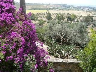 Alexander Hardcastle e la Villa Aurea