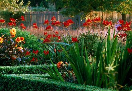 Poesia verde tutta francese: JardinPlume.