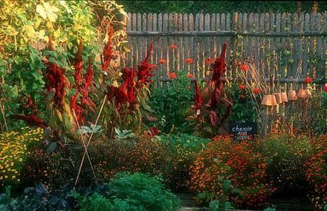 Poesia verde tutta francese: JardinPlume.