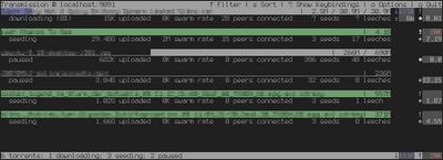 Transmission utilizza una quantità di risorse ridotta rispetto a molti altri client BitTorrent.