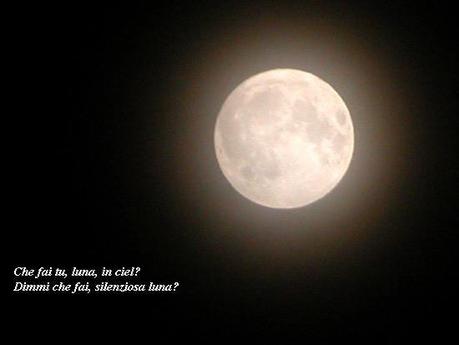 Cena fredda in una notte calda di prima estate, al chiaro di luna