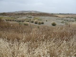 Riserva naturale Macalube d'Aragona