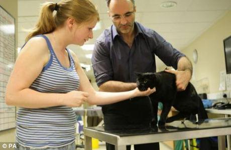 Noel Fitzpatrick, neuro-orthopaedic surgeon, and kennel assistant  Jane Kilner, with Oscar the cat 