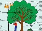 blog Carbon Neutral