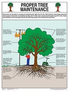 My blog is Carbon Neutral