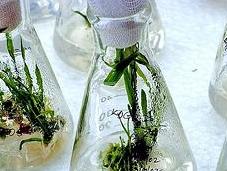 Mondo Sociale Naturale: stessi criteri ricerca?