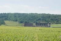 Seconda giornata: Tra Chablis e Romanée-Conti.