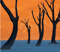 Fantastiche foto dalla Namibia: sul National Geographic