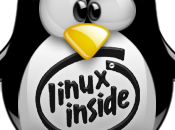 Netstat Linux: alcuni esempi pratici controllare connessioni