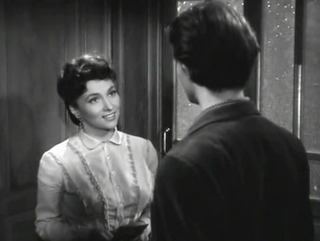 Le belle della notte