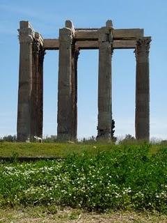 Fiori tra le rovine