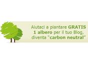 albero blog