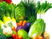 Margutta: vegetariano bello