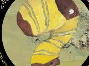 Manuale calzini selvaggi