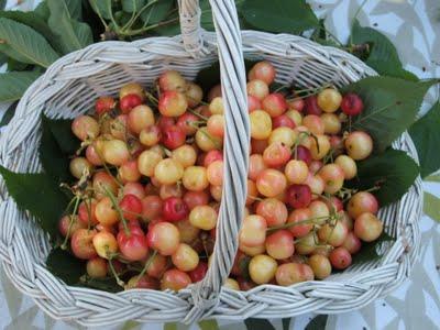 Crumble di ciliegie allo zenzero e limone