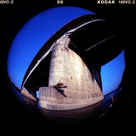 LOMOGRAPHY • sul fiume Po con Diana F+ e Kodak 160VC