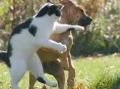 trader disse,troppa negatività..