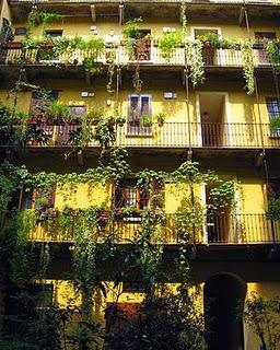 Balconi in Fiore: l’iniziativa di Piazza Portello e Iper la grande I