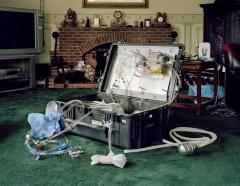 Una mostra fotografica dedicata all'ibernazione umana (crionica o criopreservazione)