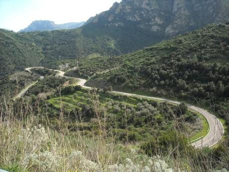 Racconti di un uomo allevato all'odore del mosto tra le terre di Basilicata