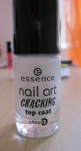 Essence – Collezione Permanente 2011