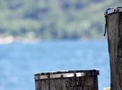 Trip Lake Orta