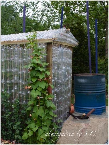 Chelsea Flower Show