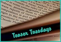 Teaser Tuesdays (22)