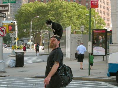 Your cat on your head