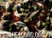 Friselle alici pomodoro