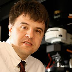 Ricablare il Cervello: la via verso l'uomo robot