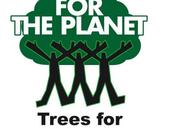 Stop talking, start planting!