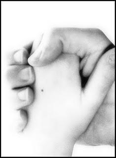 L'Inviata speciale intervista Chiara Palazzolo, autrice de Nel Bosco di Aus