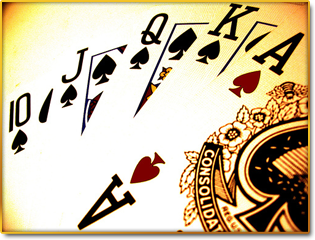 L'Inviata speciale intervista Chiara Palazzolo, autrice de Nel Bosco di Aus