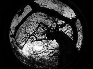 L'Inviata speciale intervista Chiara Palazzolo, autrice de Nel Bosco di Aus