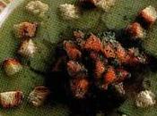 Crema porri pomodoro crostini