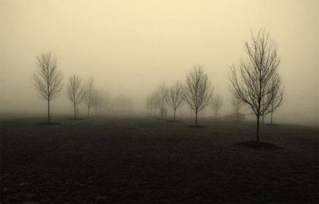 Il fascino della nebbia nella fotografia